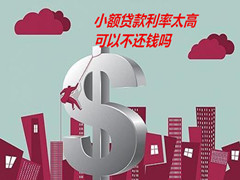 小额贷款利率过高，超过24%，可以不还钱吗？
