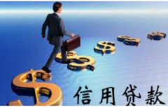 农户小额信用贷款特点