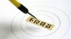 小微不良贷款案情分析