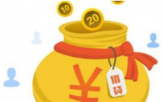 贷款机构对信用贷款的审核流程是怎么样的？