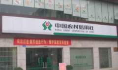 农村信用社夫妻共同贷款需要需要什么条件？