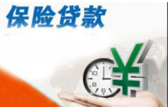 什么是保单贷款？保单如何办贷款？